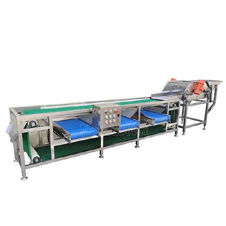 Fruit Sorting Machine