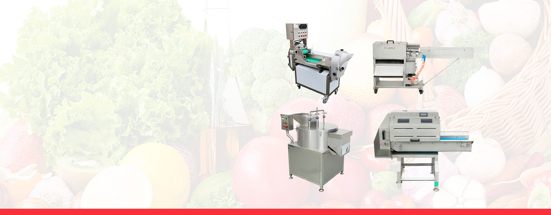 Fruit and Vegetable<br/>Processing Equipment