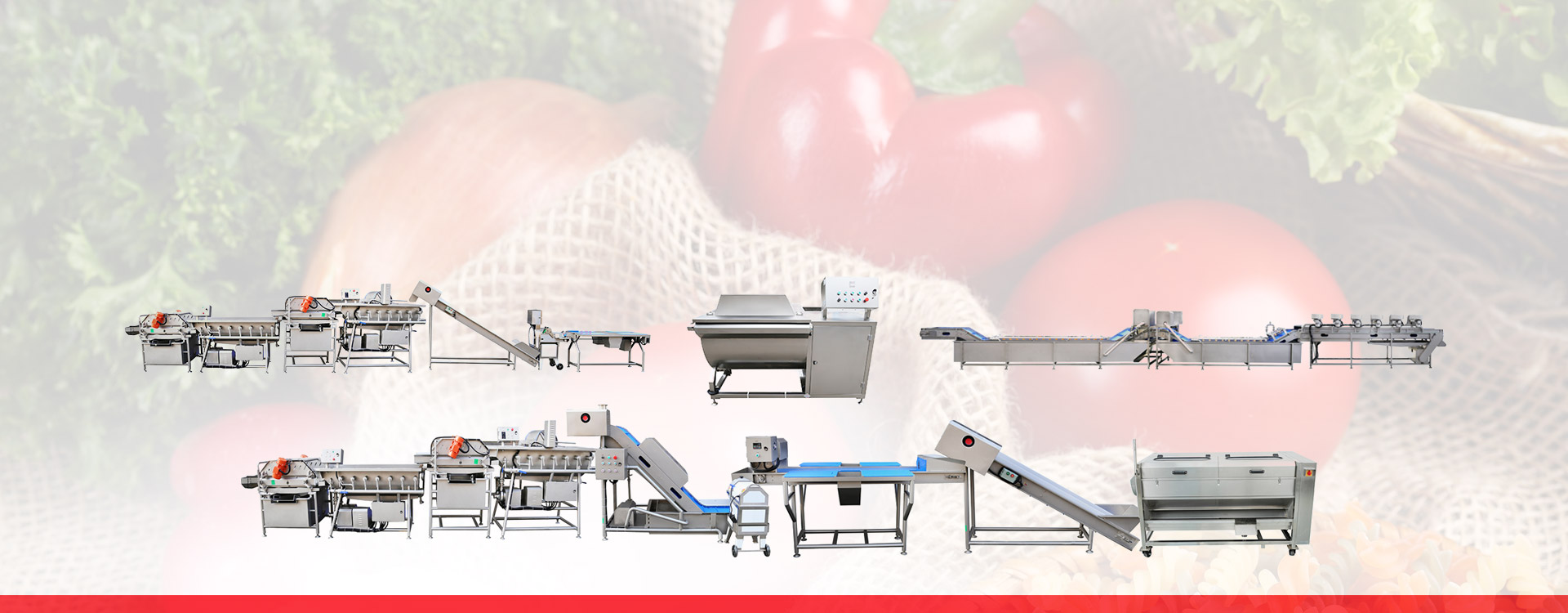 Vegetable Processing Line