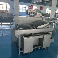 Double Slot Vegetable Washing Machine