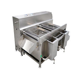 Double Slot Vegetable Washing Machine