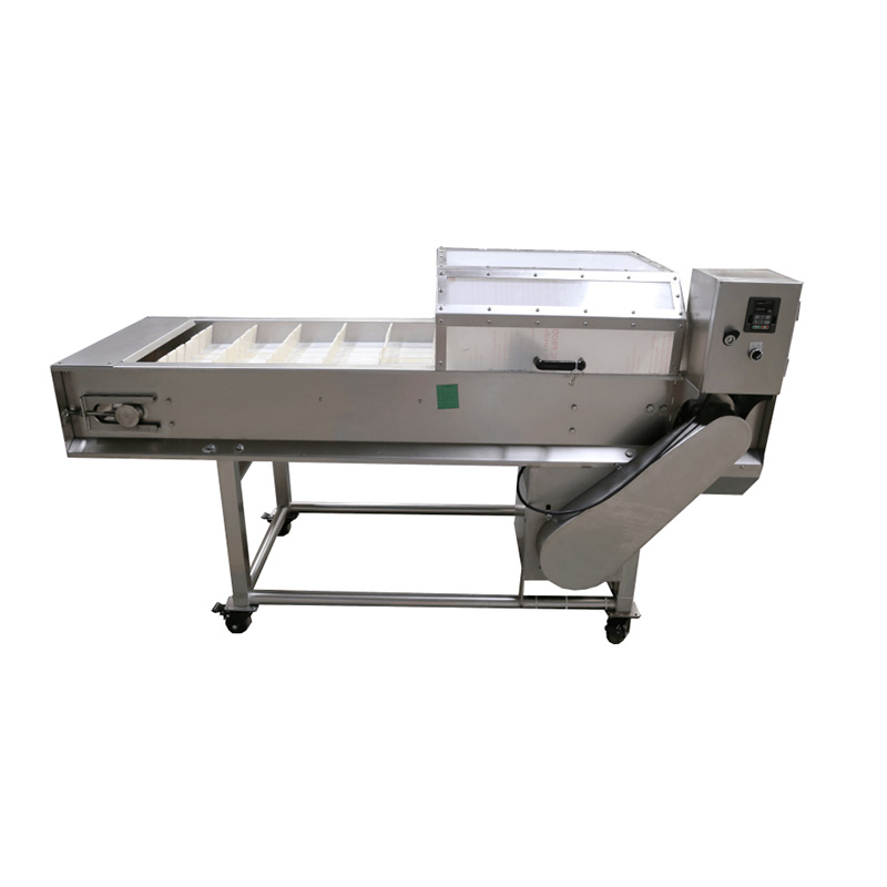 Fruit and Vegetable Segmenting Machine