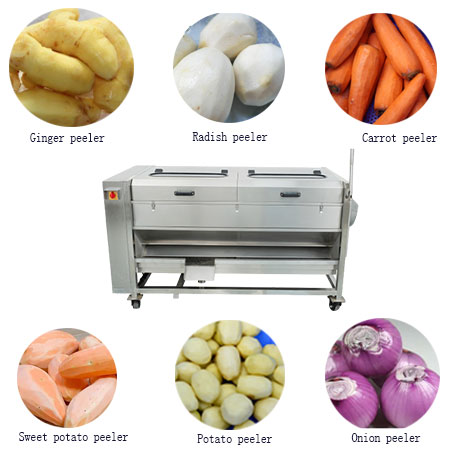 Vegetable Washing and Peeling Machine