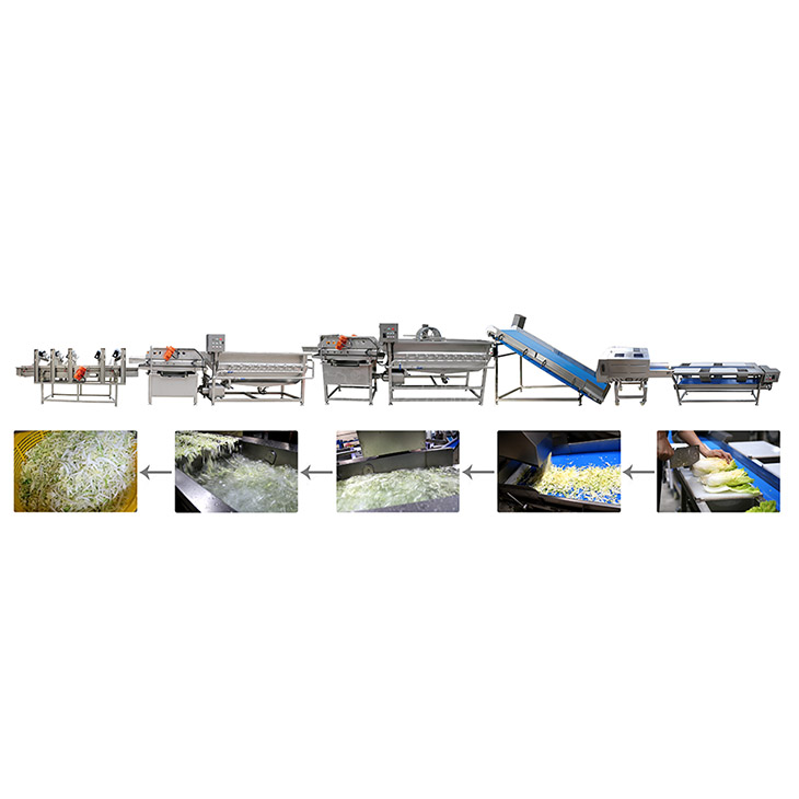 Leafy Vegetable Processing Production Line