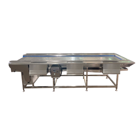 Vegetable Processing Conveyor Belt