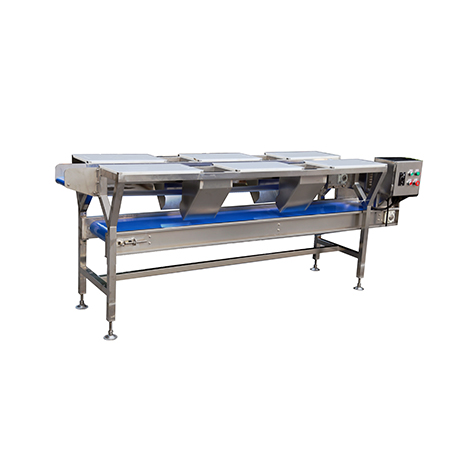 Vegetable Processing Conveyor Belt