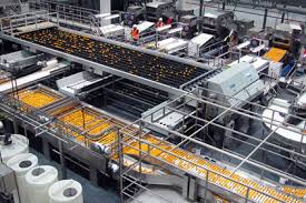 Potato Processing Line application fields