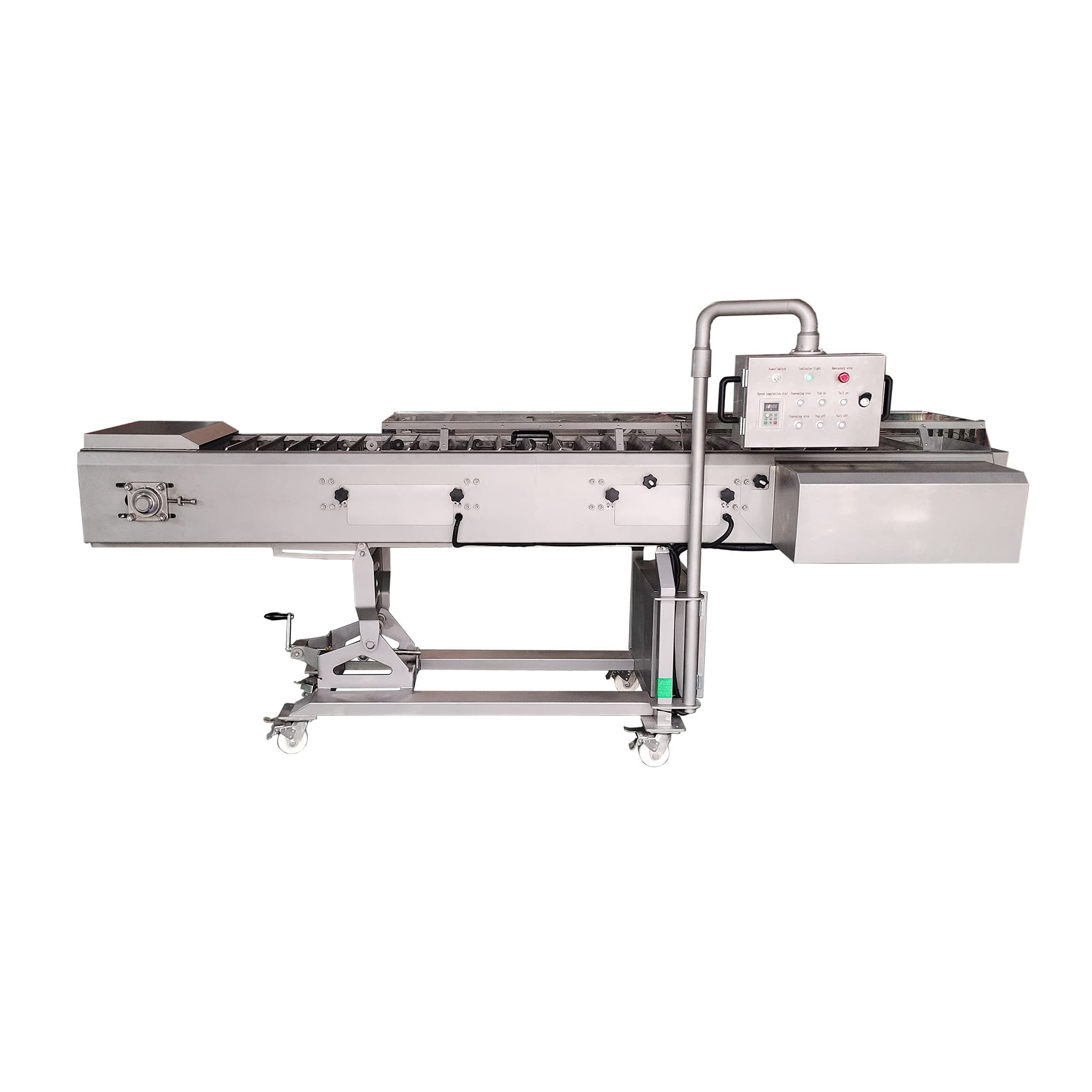 Head and Tail Removal and Cutting Machine